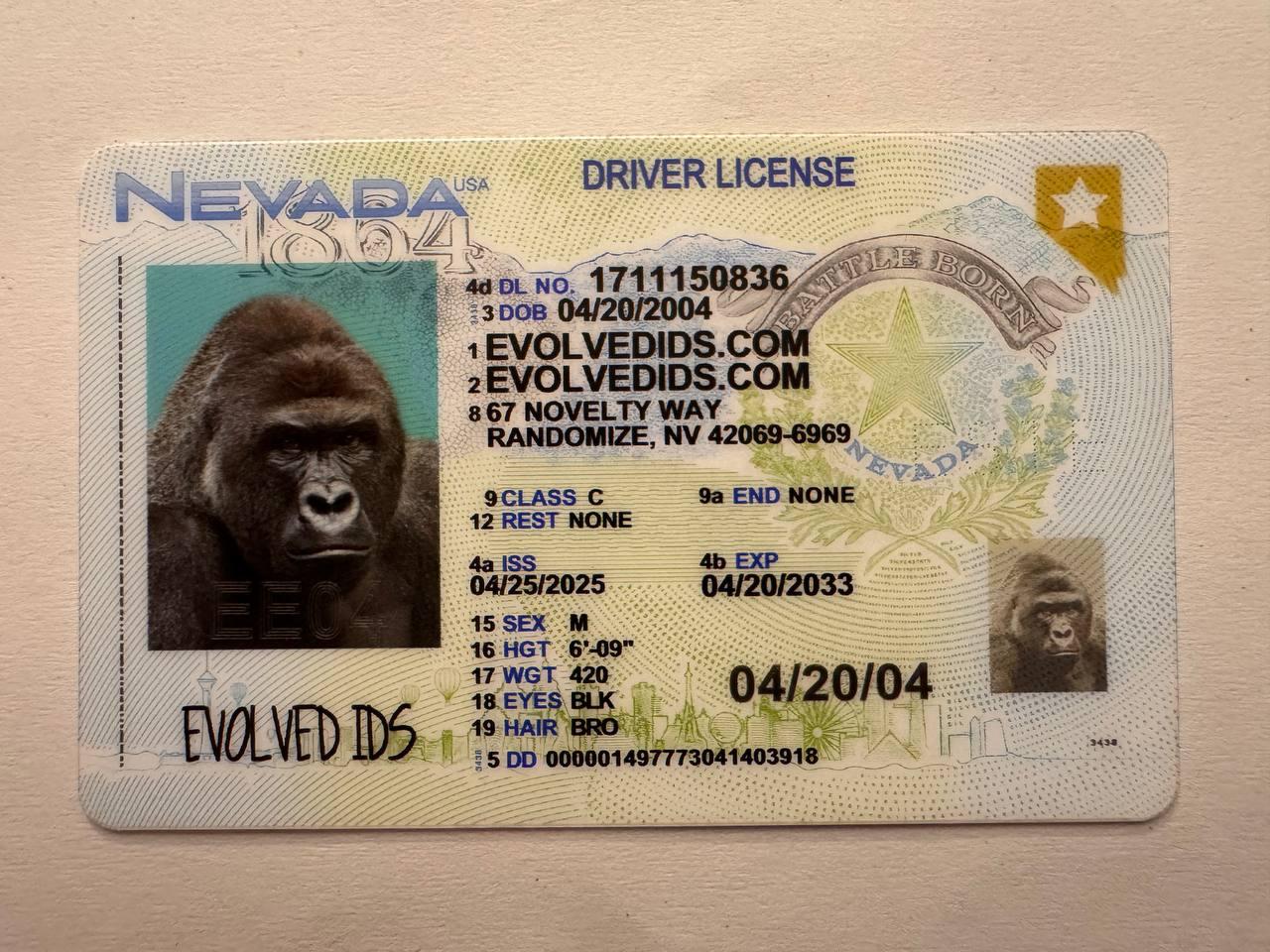NV_FRONT
